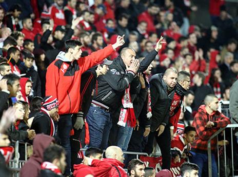 למרות הקריאות, לוי ימשיך בתפקידו (צילום: אלן שיבר)