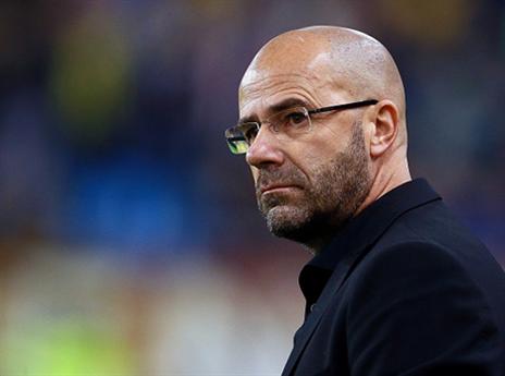 רזומה מרשים מאוד בהולנד. בוס (getty)