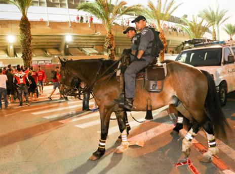 (צילום: דני מרון)