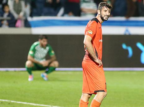 פלאח. שוב מרגיש כאבים (אלן שיבר)