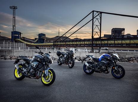 (צילום: יצרן)