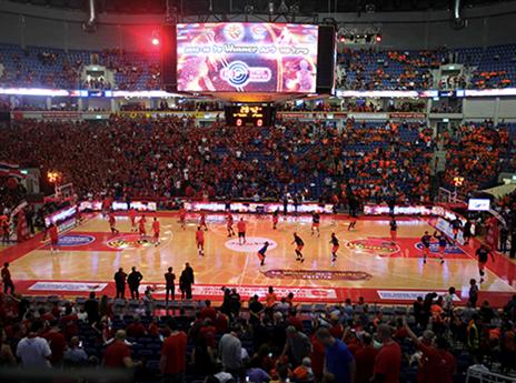 אך הבשילו התנאים לחזרה לסדרות (צילום: אלן שיבר)