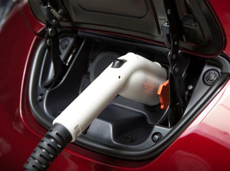 (תמונה: יצרן)