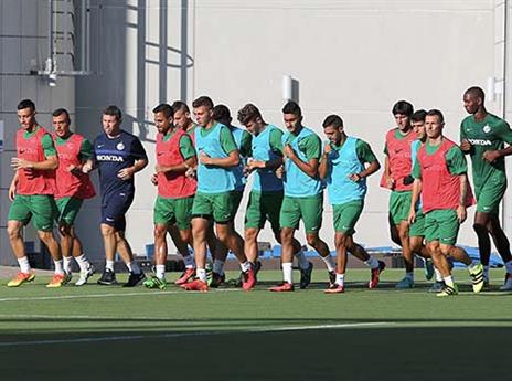 פותחים קמפיין (אלן שיבר)