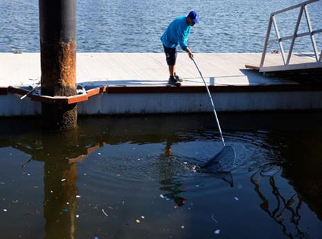 לנצח את המתחרים, וגם את האשפה (gettyimages)
