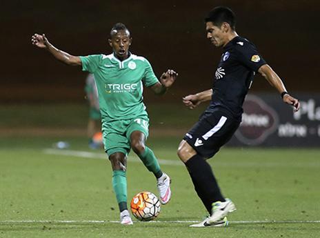 יפתח בהרכב. איילה (שיבר)