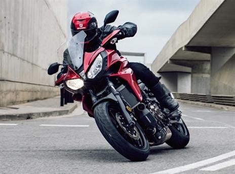 (צילום: יצרן)