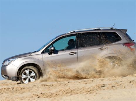 הטיפים של המקצוענים