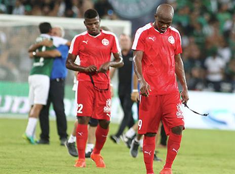 אולי בפעם הבאה (אלן שיבר)