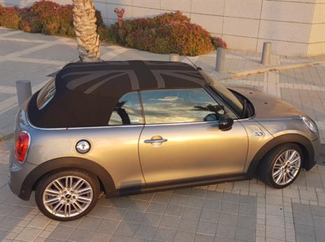 מגיעה מהממלכה (צילום: כפיר כשריאן)