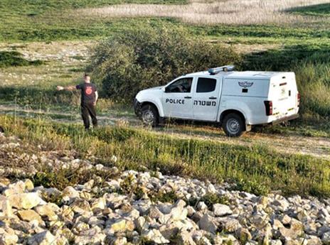 (צילום: אופיר הראל)