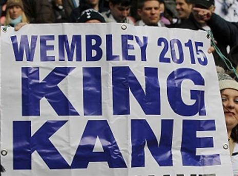 המלך הבלתי מעורער של התרנגולים (getty)