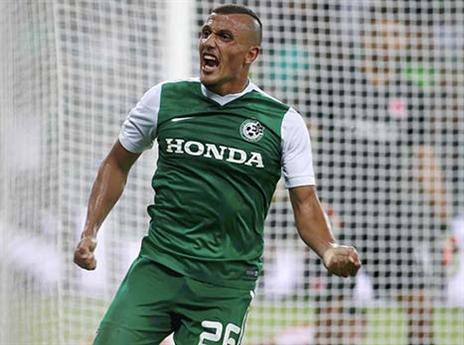 התקופה בחיפה - לא חגיגה (אלן שיבר)