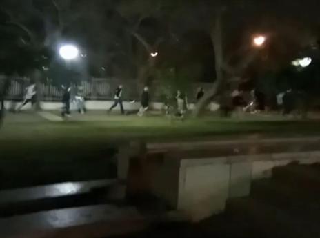 תקרית מזעזעת כמעט וגבתה חיים של אוהדים תמימים