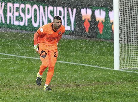 רוצים שיישאר, אך לא חוששים מעזיבה שלו. ינקו (אלן שיבר)