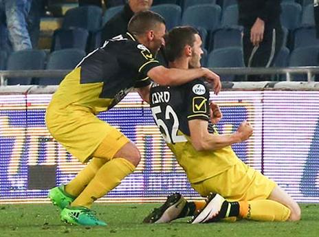 חגיגה בצהוב שחור (דני מרון)