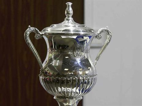 כולם רוצים אותו. גביע המדינה (אלן שיבר)