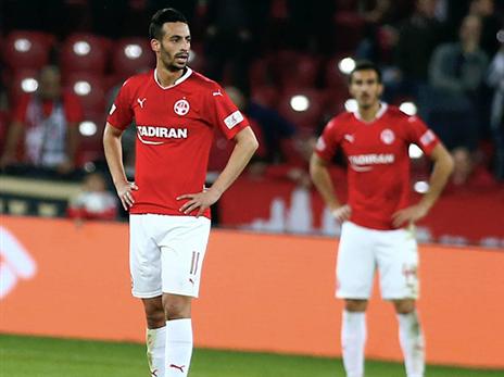 (צילום: אלן שיבר)