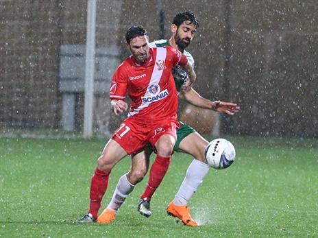 "משחקים התקפי, לא משנה כמה חלוצים על המגרש" (צילום: יוסי שקל)