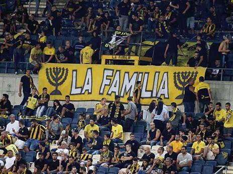 מכה לארגון (אלן שיבר)