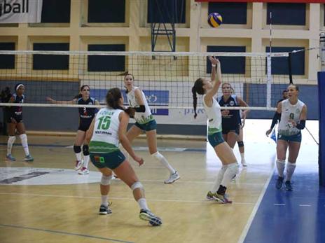 (צילום: דב קרייזל, באדיבות איגוד הכדורעף)