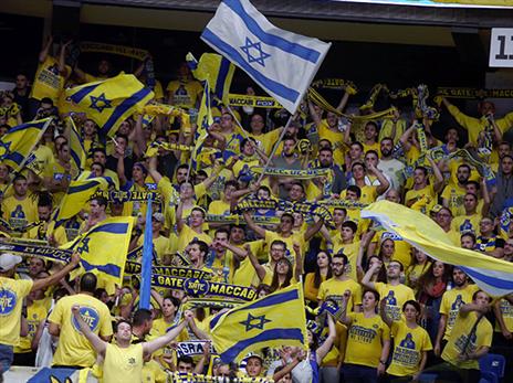 האוהדים מאוכזבים (אלן שיבר)