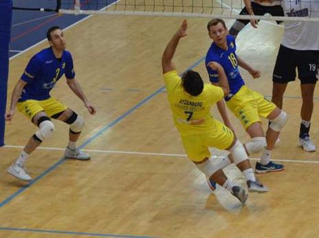 הצהובים משיגים ניצחון מרשים (צילום: רינת ורדי, באדיבות מכבי ת"א)
