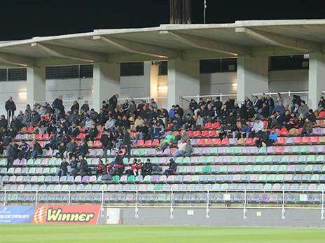 (נמרוד גליקמן)