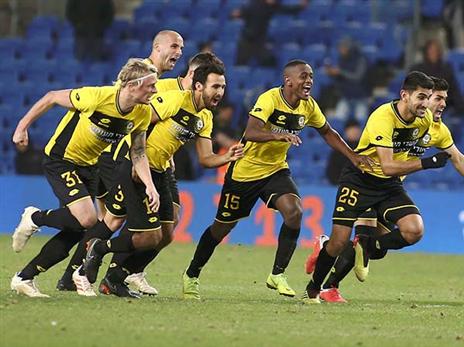 ברבע הגמר (אלן שיבר)