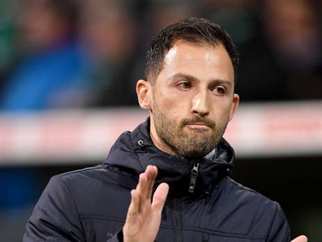 מגיע כאנדרדוג מובהק. טדסקו (Photo by Stuart Franklin/Bongarts/Getty Images)