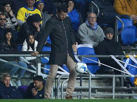 היה עולה אל כר הדשא אם היה יכול. איביץ' (דני מרון)