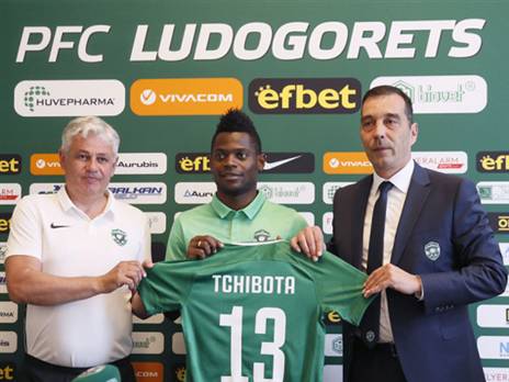 צ'יבוטה. לא חשב פעמיים על ההצעה (לודוגורץ)