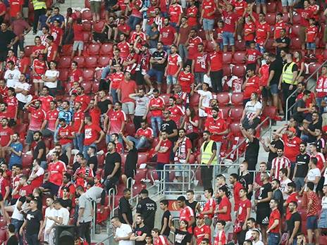 הקהל בטירוף (אלן שיבר)