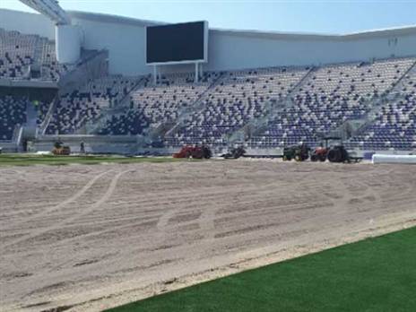 (צילום: שירי אלג'ם)