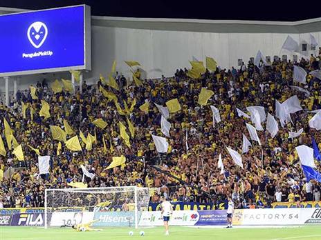 חזרה מאוכזבת לבלומפילד (ברני ארדוב)