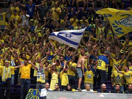 מספר המינויים עלה השנה (אלן שיבר)