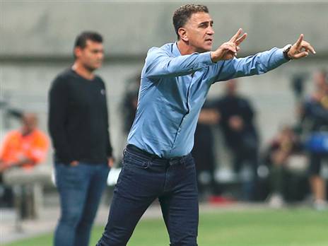 בלבול, מחפש חיזוק (אלן שיבר)