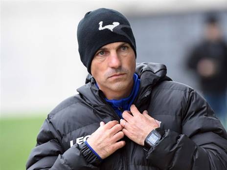 (ברני ארדוב)