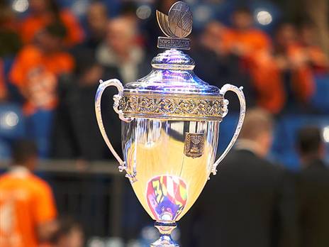 הגביע מחכה (אלן שיבר)