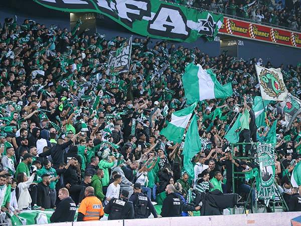 (מאור אלקסלסי)