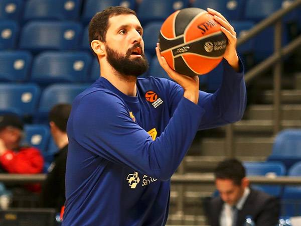 מירוטיץ'. יחזור להיכל? (אלן שיבר)