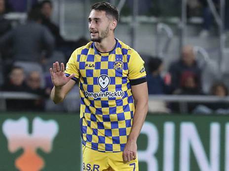 אצילי. פנים מוכרות (אלן שיבר)