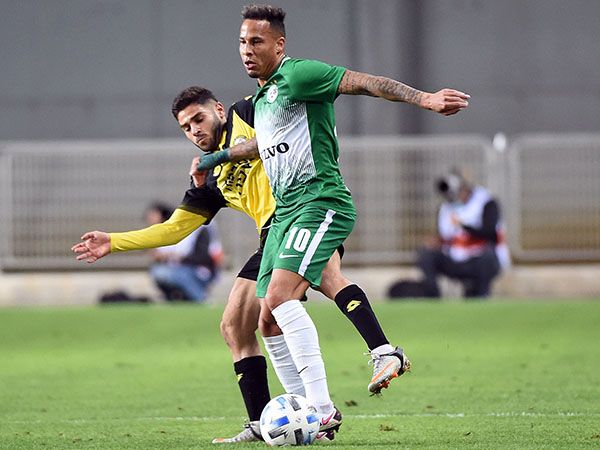 חיפה תחדש את השיחות עימו. שרי (צילום: ברני ארדוב)