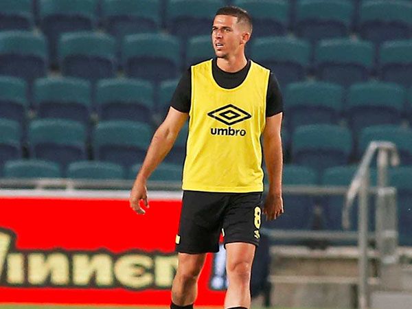 מתנדנד. ורד (אלן שיבר)