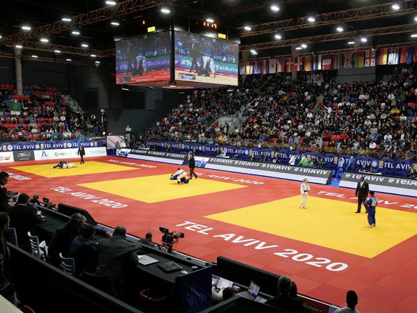 (אודי ציטיאט)