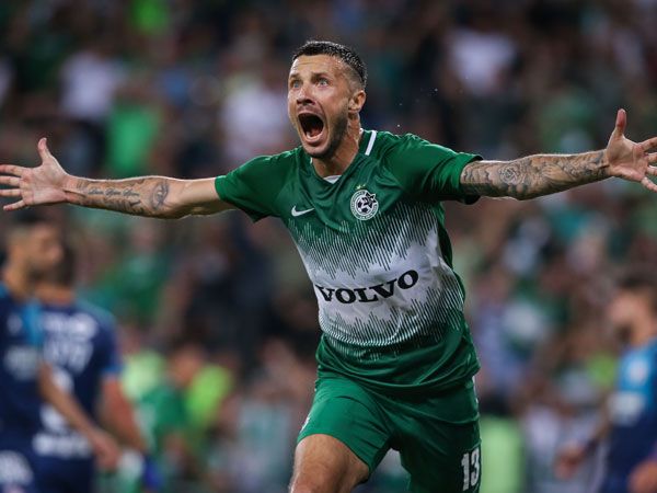 רוקאביצה, ילבש צהוב? (אלן שיבר)