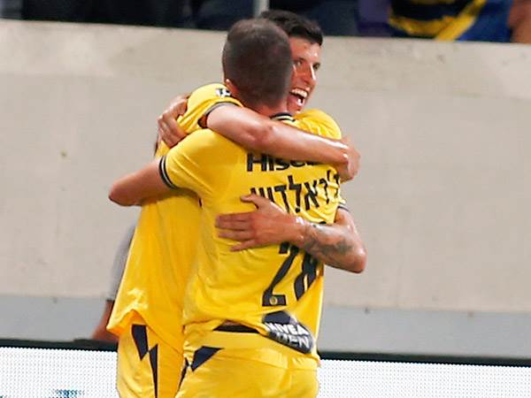 דומיננטיות צהובה בלתי נתפסת (אלן שיבר)