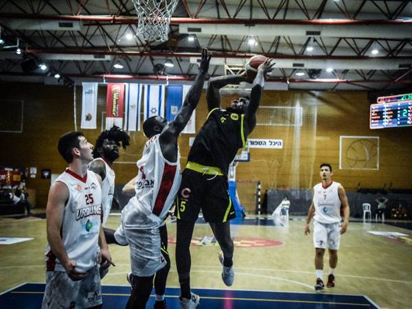 (צילום: יעל הראל)