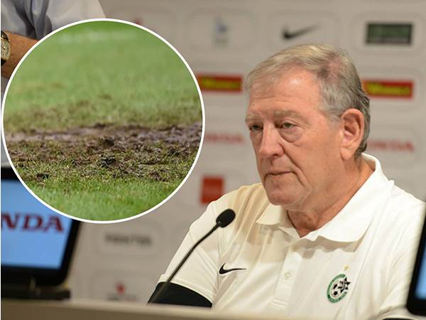 (ברני ארדוב)