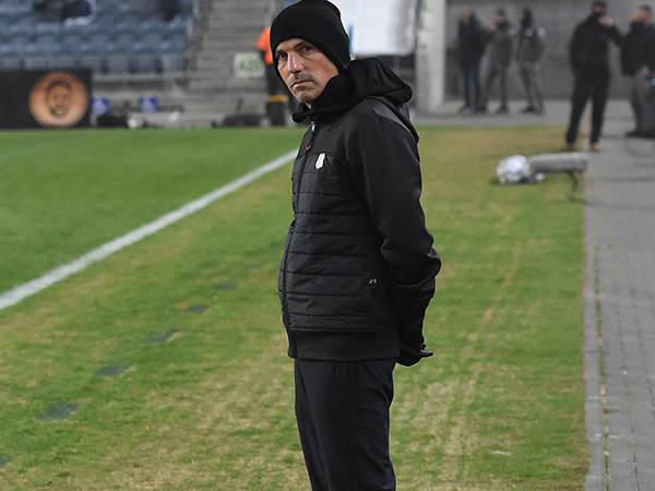 אריה. לקח אחריות (ברני ארדוב)